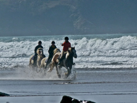 Beach Ride Pembrokeshire 